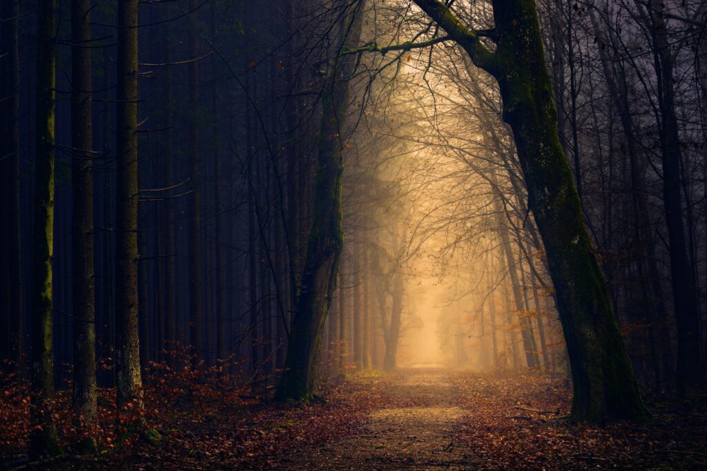 sunlit path toward an ethereal horizon, symbolizing the journey to eternity and God’s divine judgment.